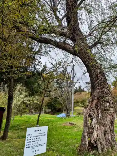 留辺蘂神社の自然