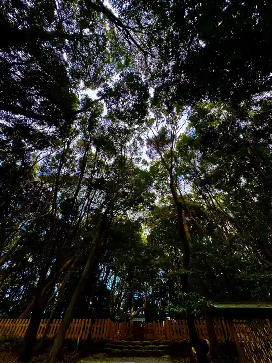 宗像大社(福岡県)