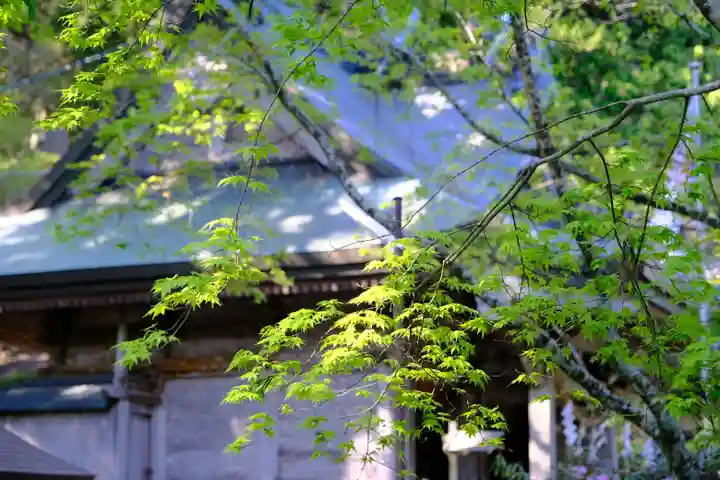 玉置神社の自然
