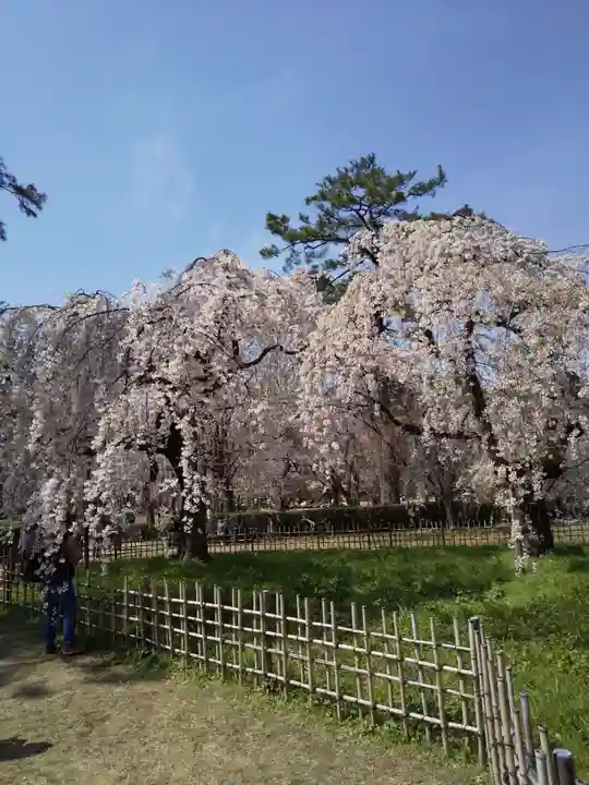 水火天満宮(京都府)