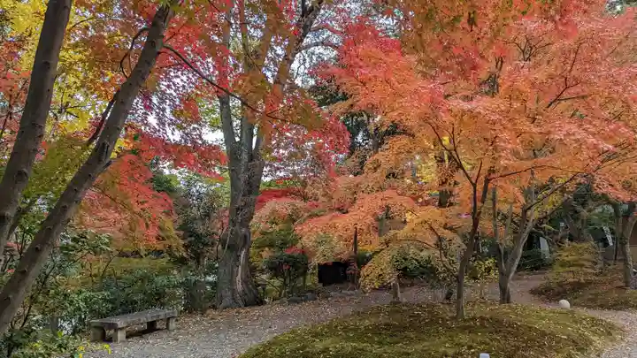 長岡天満宮(京都府)