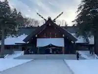 北海道神宮の本殿・本堂