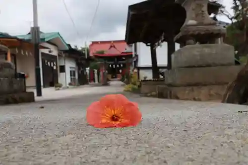 大鏑神社の景色