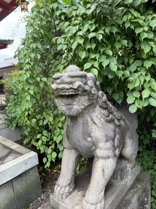 筑土八幡神社の狛犬