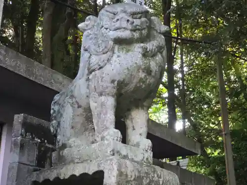 阿賀神社(滋賀県)