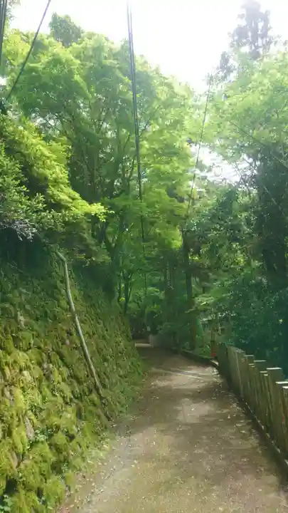 天照大神高座神社(大阪府)