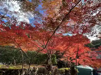神峯山寺(大阪府)