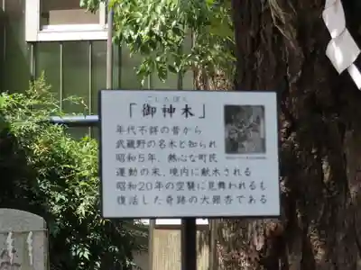 大鳥神社(東京都)