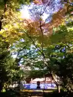 大正寺(東京都)