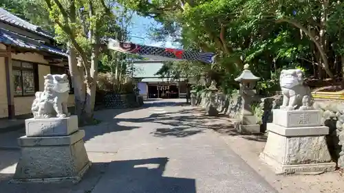 白羽神社の狛犬