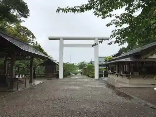 安房神社の鳥居