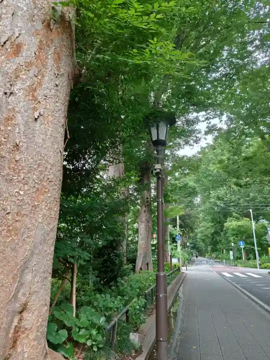 武蔵一宮氷川神社(埼玉県)
