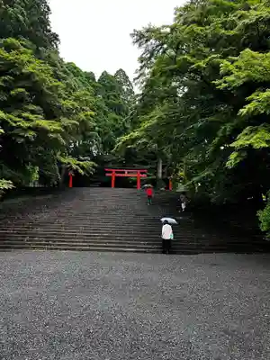 霧島神宮(鹿児島県)