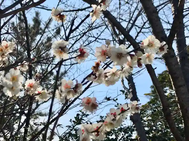 検見川神社の自然