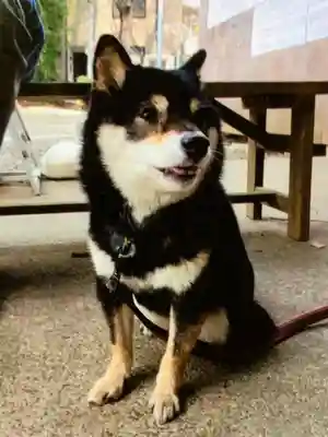 上目黒氷川神社(東京都)