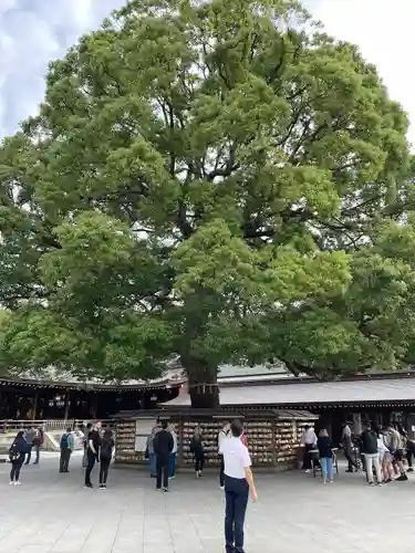 明治神宮(東京都)