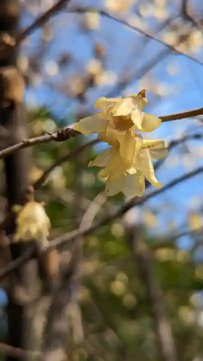 穴八幡宮(東京都)