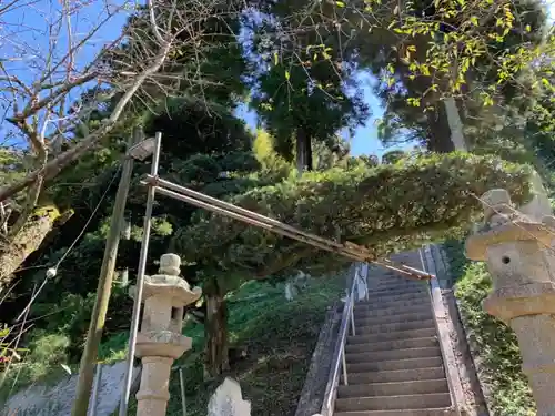 諏訪神社の庭園