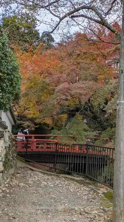 服部神社(京都府)
