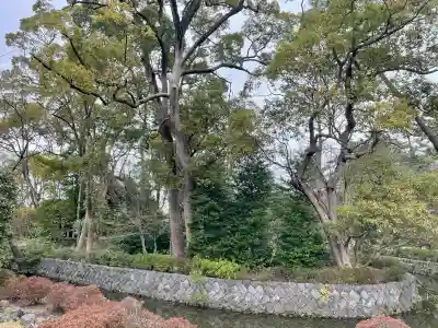 宮山神社の{uncategorized: "未分類", other: "その他", undefined: "問題あり", building: "その他建物", grave: "お墓", sacred_gate: "鳥居", guardian: "狛犬", statue: "像", buddha: "仏像", history: "歴史", nature: "自然", garden: "庭園", animal: "動物", pagoda: "塔", temizu: "手水舎", mountain_gate: "山門・神門", sanctuary: "本殿・本堂", subordinate: "末社・摂社", art: "芸術", scenery: "景色", jizo: "地蔵", ema: "絵馬", goshuin: "御朱印", omikuji: "おみくじ", items: "授与品その他", amulet: "お守り", goshuincho: "御朱印帳", eats: "食事", festival: "お祭り", votive_dance: "神楽", shichigosan: "七五三参", wedding: "結婚式", experience: "体験その他", initially: "初詣", around: "周辺", anti_infection: "感染症対策"}