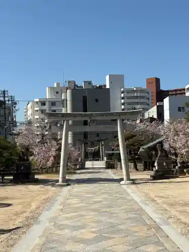鶴羽根神社の{uncategorized: "未分類", other: "その他", undefined: "問題あり", building: "その他建物", grave: "お墓", sacred_gate: "鳥居", guardian: "狛犬", statue: "像", buddha: "仏像", history: "歴史", nature: "自然", garden: "庭園", animal: "動物", pagoda: "塔", temizu: "手水舎", mountain_gate: "山門・神門", sanctuary: "本殿・本堂", subordinate: "末社・摂社", art: "芸術", scenery: "景色", jizo: "地蔵", ema: "絵馬", goshuin: "御朱印", omikuji: "おみくじ", items: "授与品その他", amulet: "お守り", goshuincho: "御朱印帳", eats: "食事", festival: "お祭り", votive_dance: "神楽", shichigosan: "七五三参", wedding: "結婚式", experience: "体験その他", initially: "初詣", around: "周辺", anti_infection: "感染症対策"}