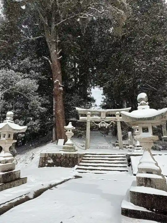 亀山神社の{uncategorized: "未分類", other: "その他", undefined: "問題あり", building: "その他建物", grave: "お墓", sacred_gate: "鳥居", guardian: "狛犬", statue: "像", buddha: "仏像", history: "歴史", nature: "自然", garden: "庭園", animal: "動物", pagoda: "塔", temizu: "手水舎", mountain_gate: "山門・神門", sanctuary: "本殿・本堂", subordinate: "末社・摂社", art: "芸術", scenery: "景色", jizo: "地蔵", ema: "絵馬", goshuin: "御朱印", omikuji: "おみくじ", items: "授与品その他", amulet: "お守り", goshuincho: "御朱印帳", eats: "食事", festival: "お祭り", votive_dance: "神楽", shichigosan: "七五三参", wedding: "結婚式", experience: "体験その他", initially: "初詣", around: "周辺", anti_infection: "感染症対策"}