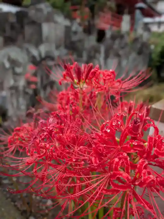 福寿院(東京都)