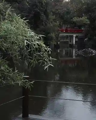 武蔵一宮氷川神社(埼玉県)