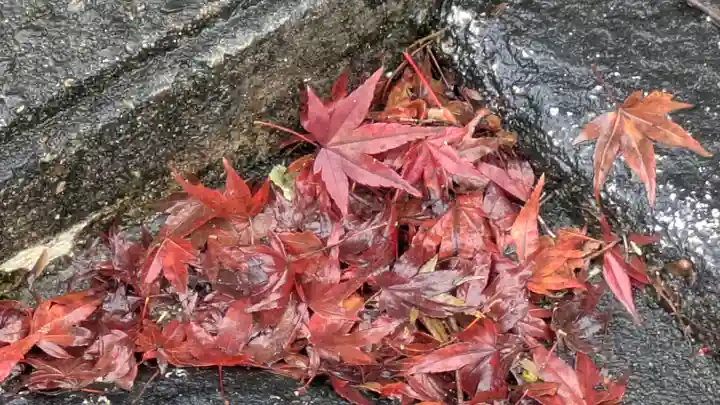 くろ谷 金戒光明寺(京都府)