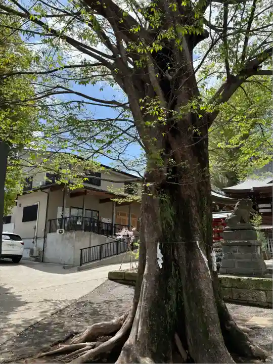 滝野川八幡神社(東京都)