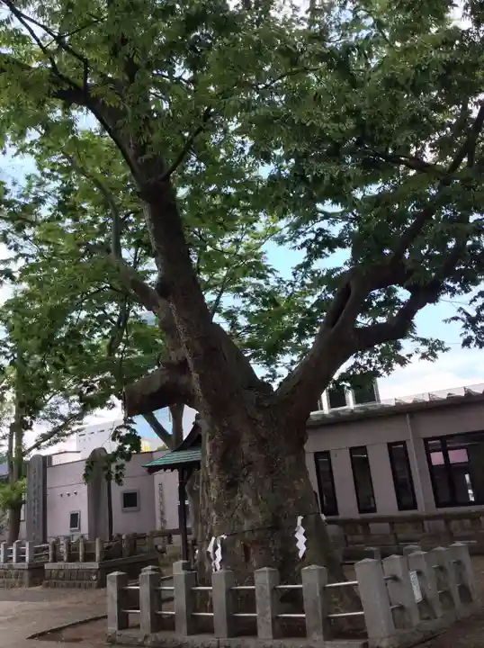 阿邪訶根神社の自然