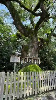 熱田神宮(愛知県)