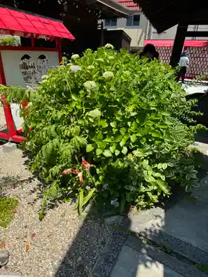 三輪神社(愛知県)