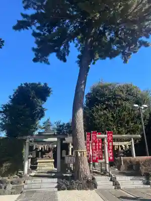 中野沼袋氷川神社(東京都)