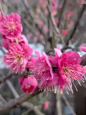 成田山深川不動堂（新勝寺東京別院）(東京都)