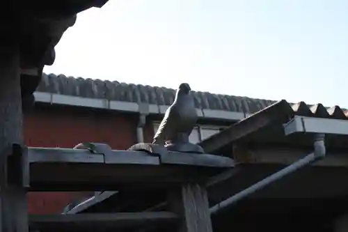 愛宕神社(滋賀県)
