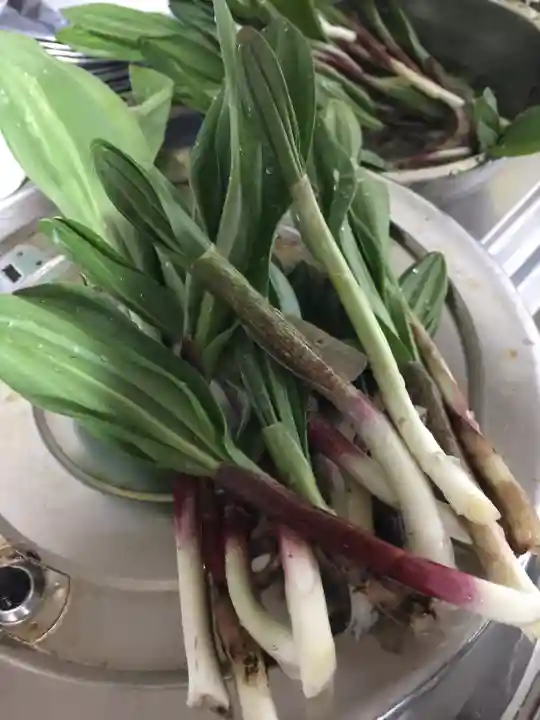 旭岱大山神社(北海道)