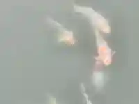 宇賀神社(岡山県)