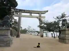 厳島神社の鳥居