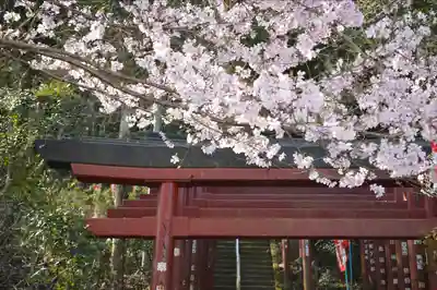 長善寺(徳島県)