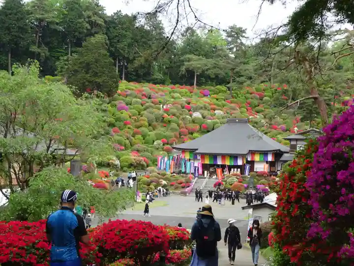 塩船観音寺の自然