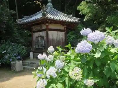 矢田寺(奈良県)
