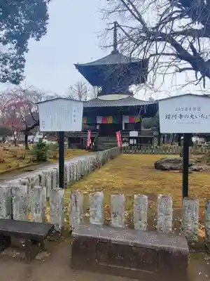 鑁阿寺(栃木県)