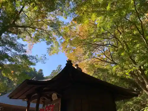 普門寺(切り絵御朱印発祥の寺)の本殿・本堂