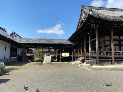 大通寺（長浜御坊）(滋賀県)