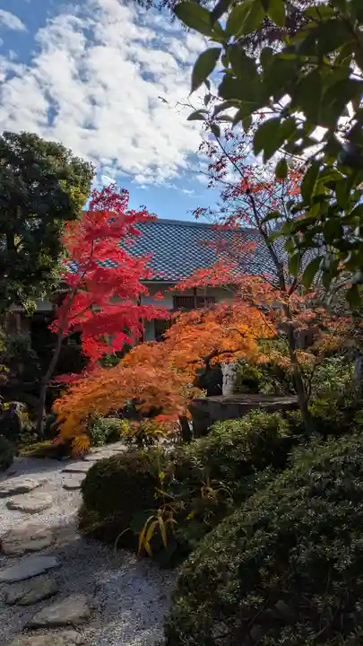 霊源院(京都府)