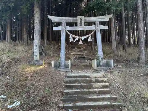 白髭神社(愛知県)