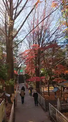 下総国三山　二宮神社の庭園