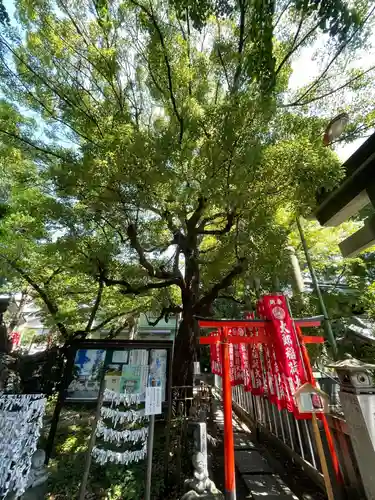江東天祖神社の自然