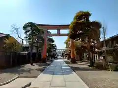 櫻山八幡宮(岐阜県)